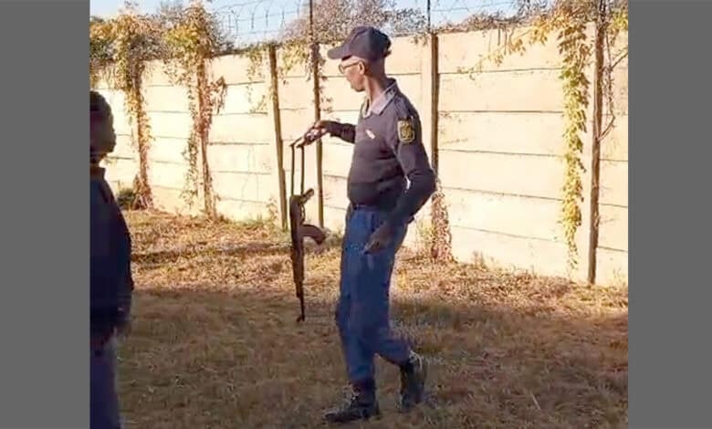 Watch: Police recover 10 AK-47s, 9 pistols after Meyerton CBD shoot-out
