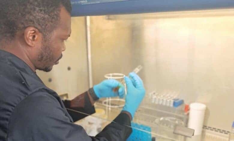 UJ researchers unlock cancer-fighting potential in common weed