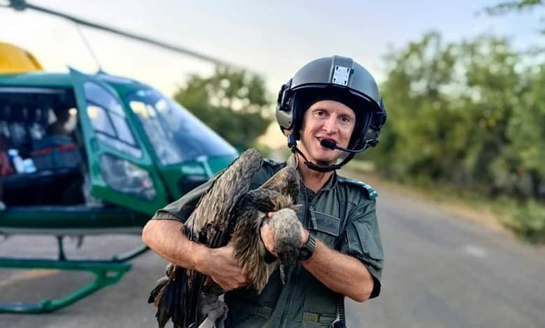 More than 100 vultures killed in Kruger National Park