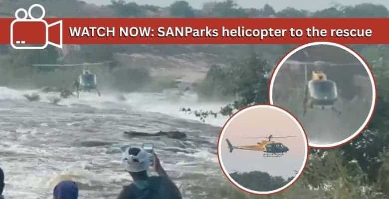 Videos: 2 men rescued from raging Komati River by SANParks chopper
