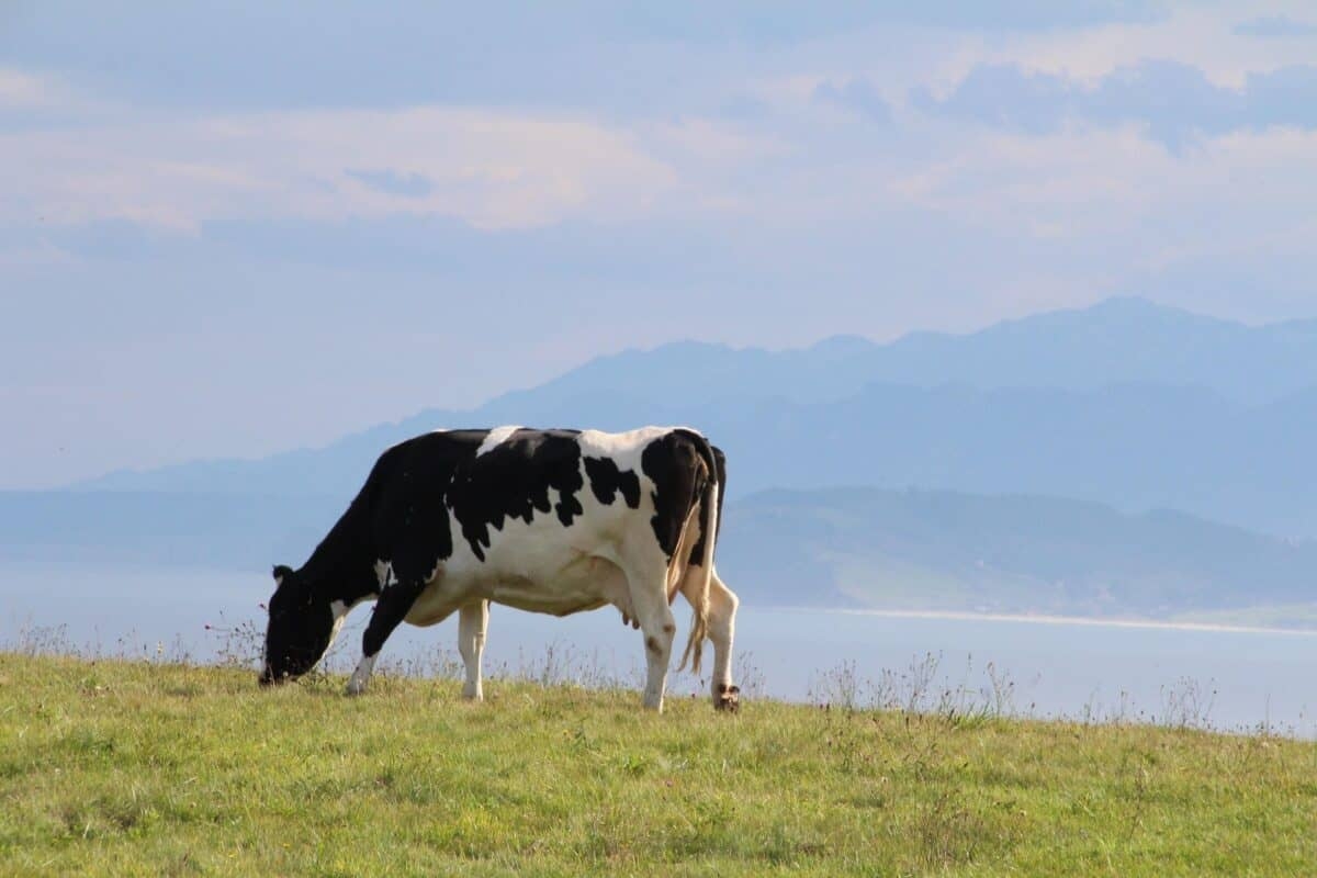 Water infrastructure upgrades boost North West farming communities