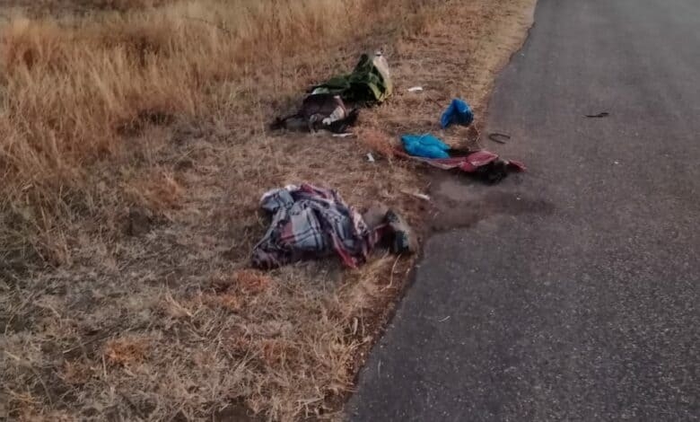 Mozambican man killed, another injured in Kruger National Park shoot-out