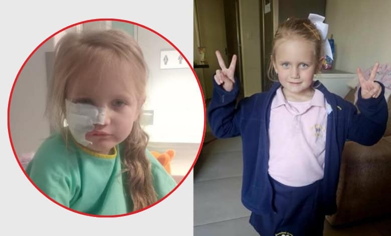 6-jarige beseer ná perdaanval by troeteltuin in Muldersdrift