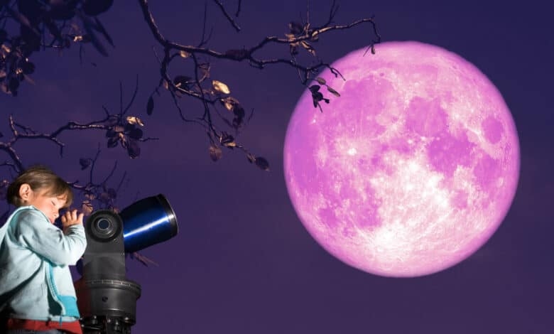 Here's when and where to see the rare strawberry moon in SA