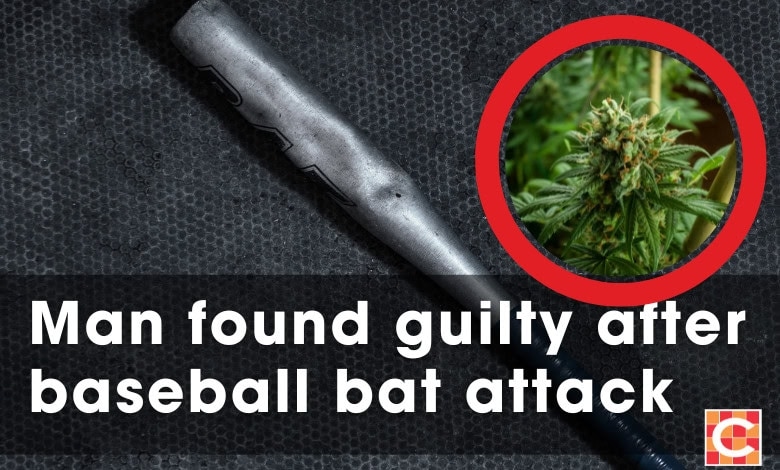 Middelburg man found guilty of murder after fight over dagga plants