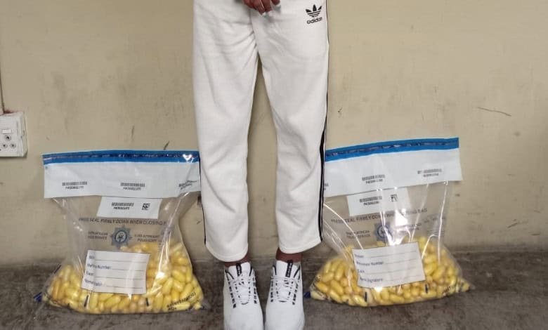 Brazilian arrested after 10kg cocaine bust at OR Tambo airport