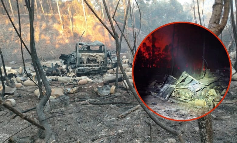 Watch: Truck carrying gas cylinders crashes in Limpopo, sparks forest fire