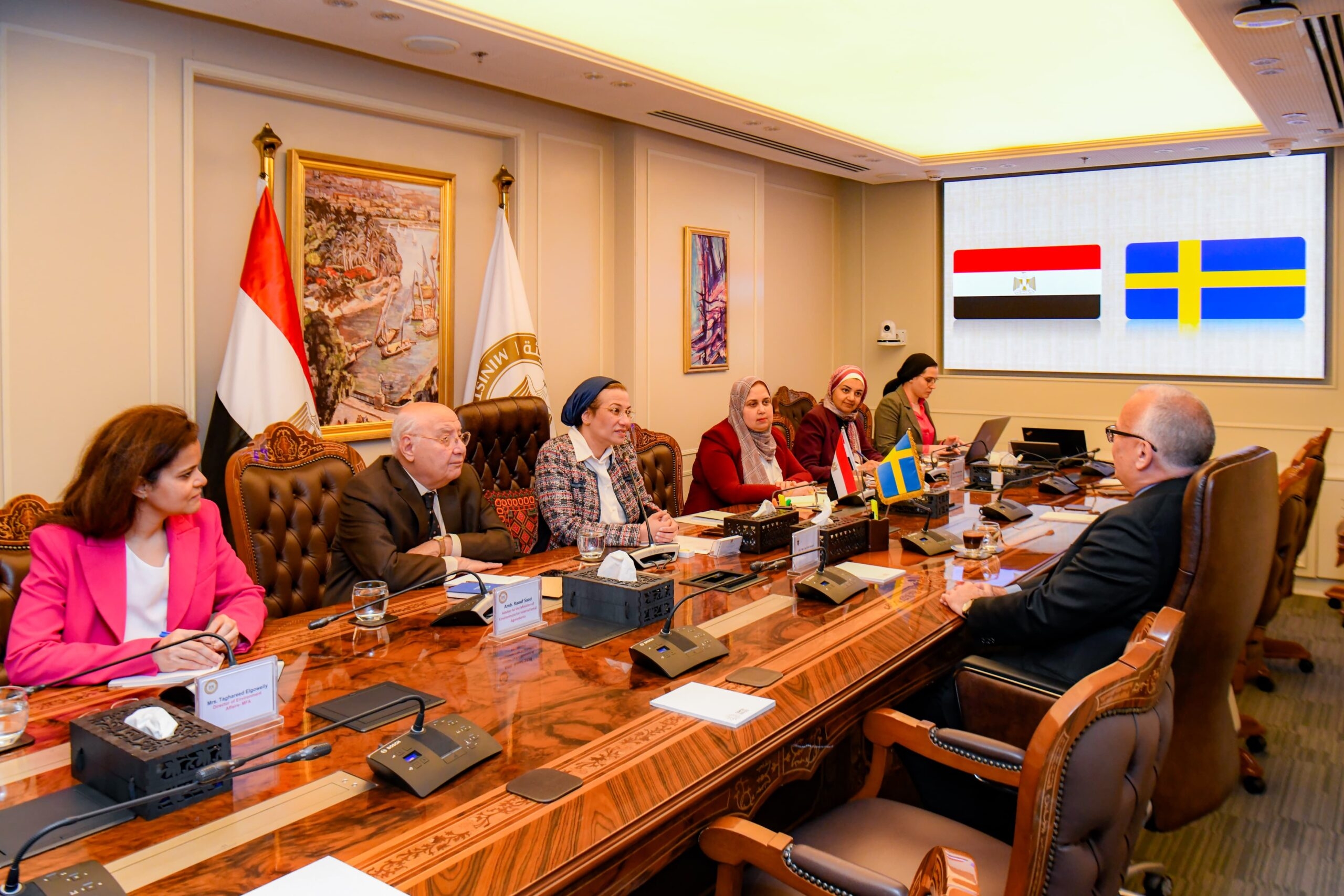 Egypt, Sweden explore enhanced cooperation on green transition, climate action