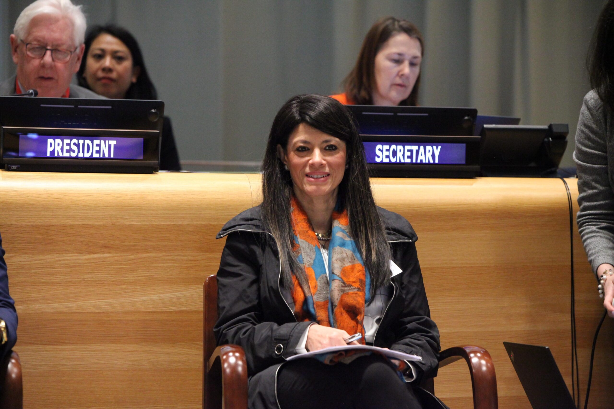 Egypt's Al-Mashat urges lower borrowing costs, more debt swaps at UN forum