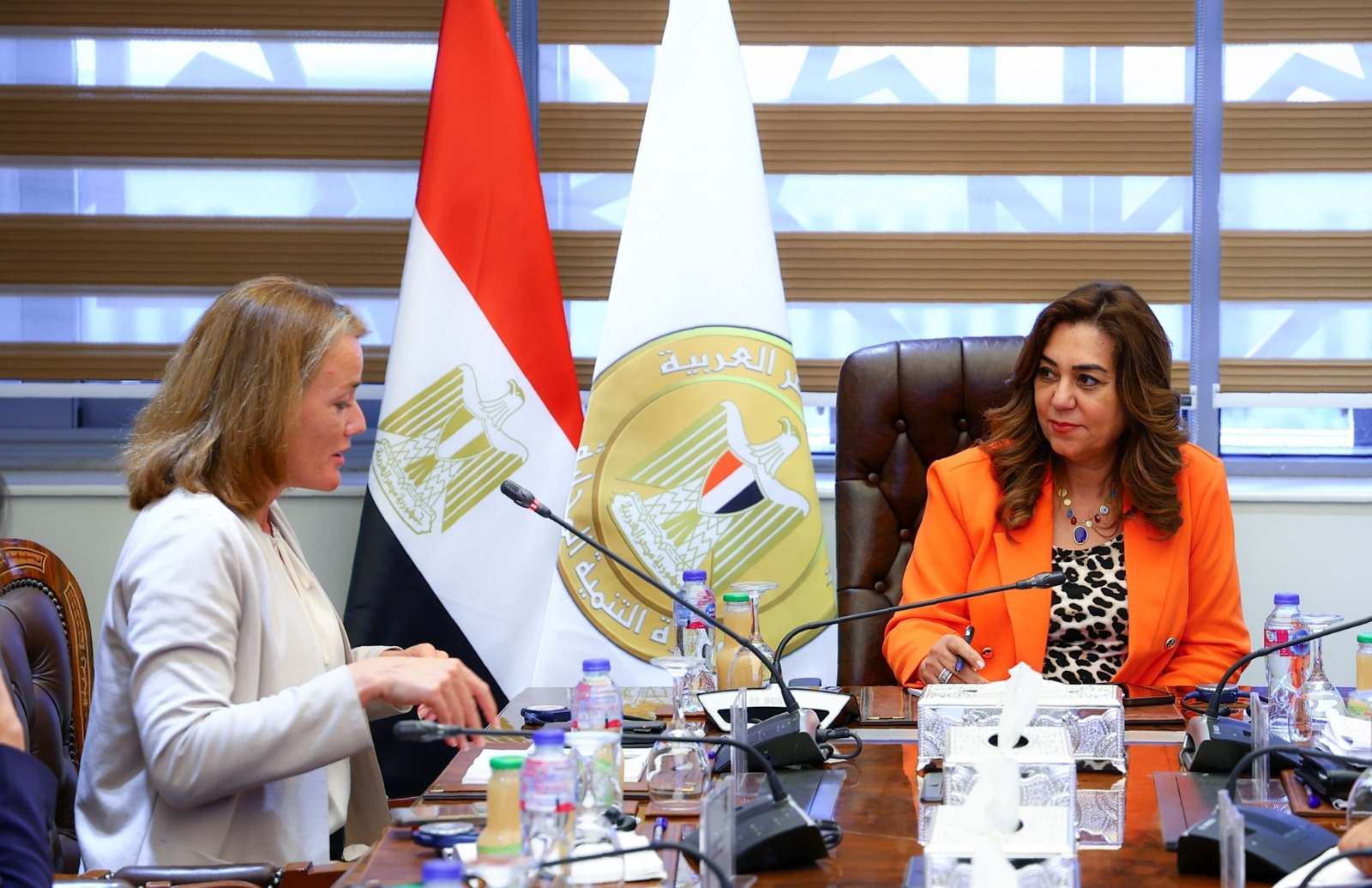 Over 6,000 projects completed in Upper Egypt with EGP 32bn Investment: Local Development Minister