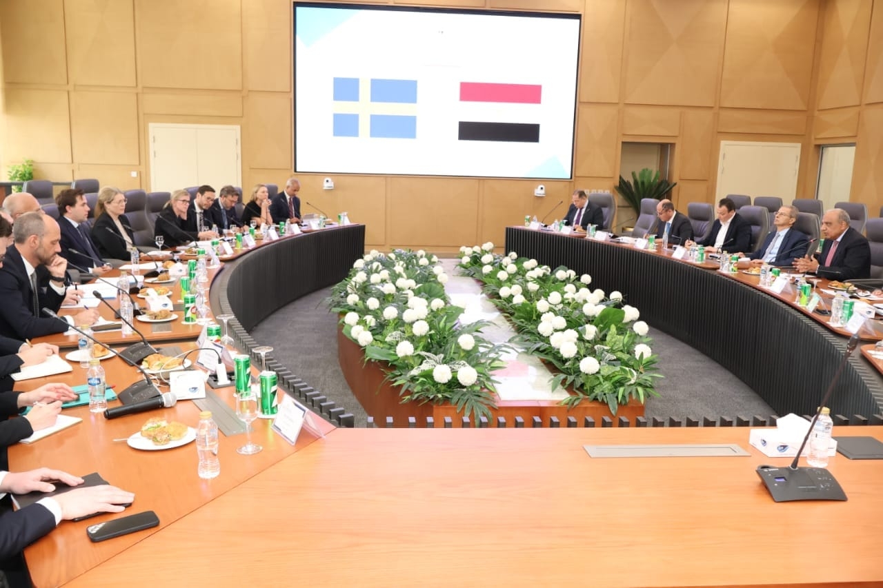 Egypt, Sweden strengthen clean energy partnership with focus on storage, grid integration