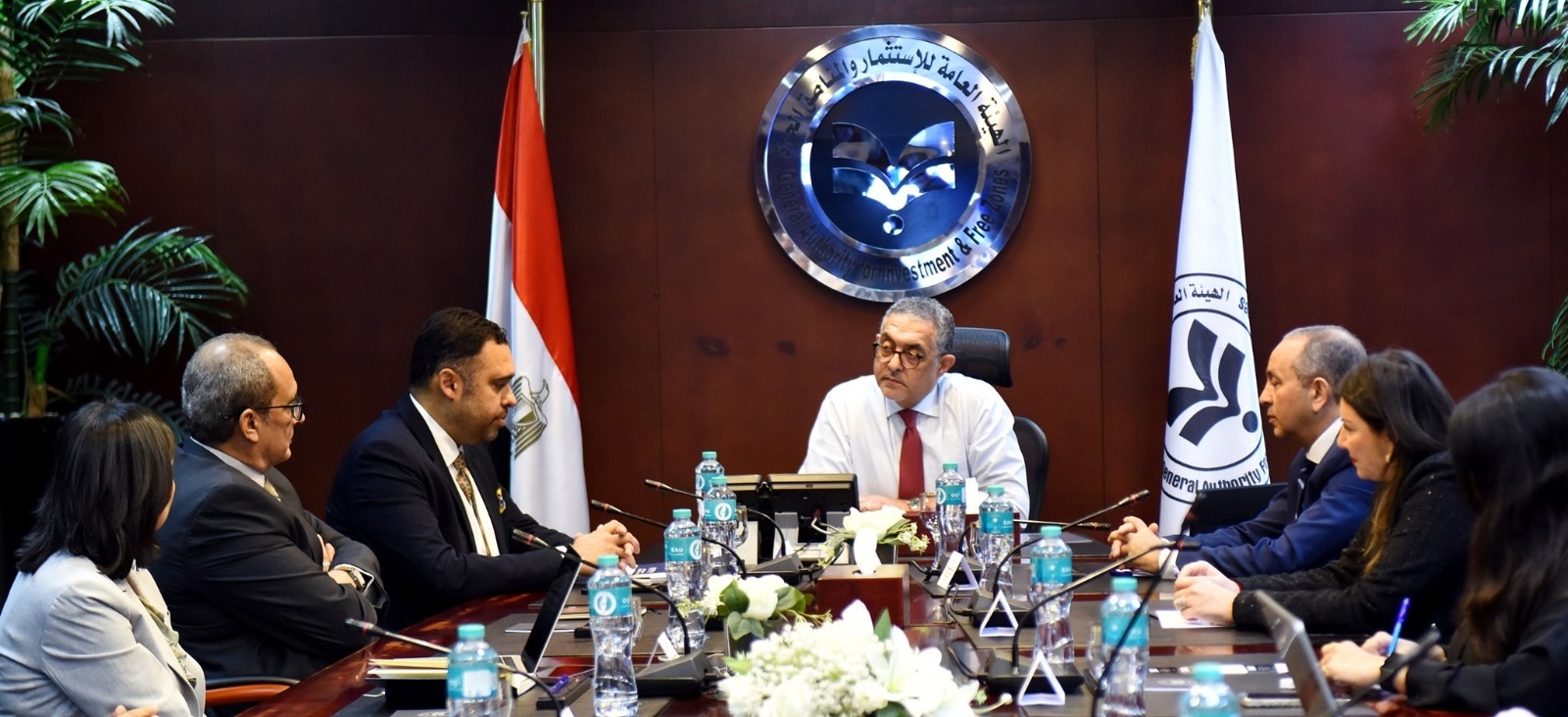 Canada's Borna to invest $40m in Egypt for natural gas recovery, carbon capture plant