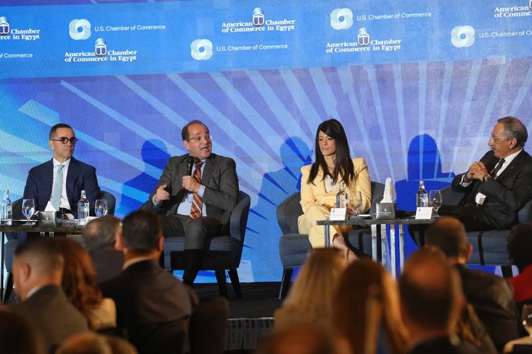 Egypt introduces tax incentives to boost trust, partnership with business community