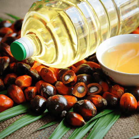 Oxford Research Highlights Role of Sustainable Palm Oil in Securing Egypt's Food Supply and Forests