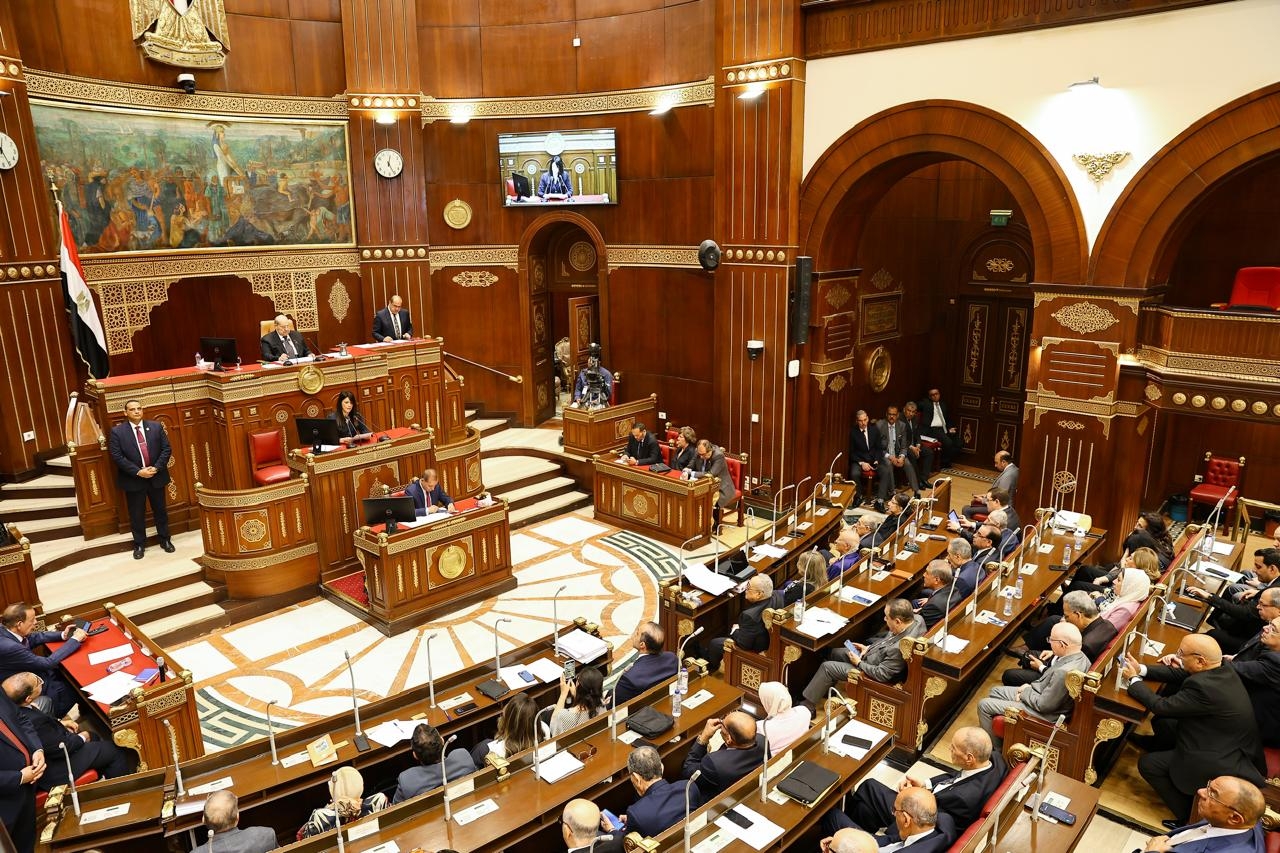 Egypt targets EGP 700 bn for human development in FY 2025/26 plan, Al-Mashat says