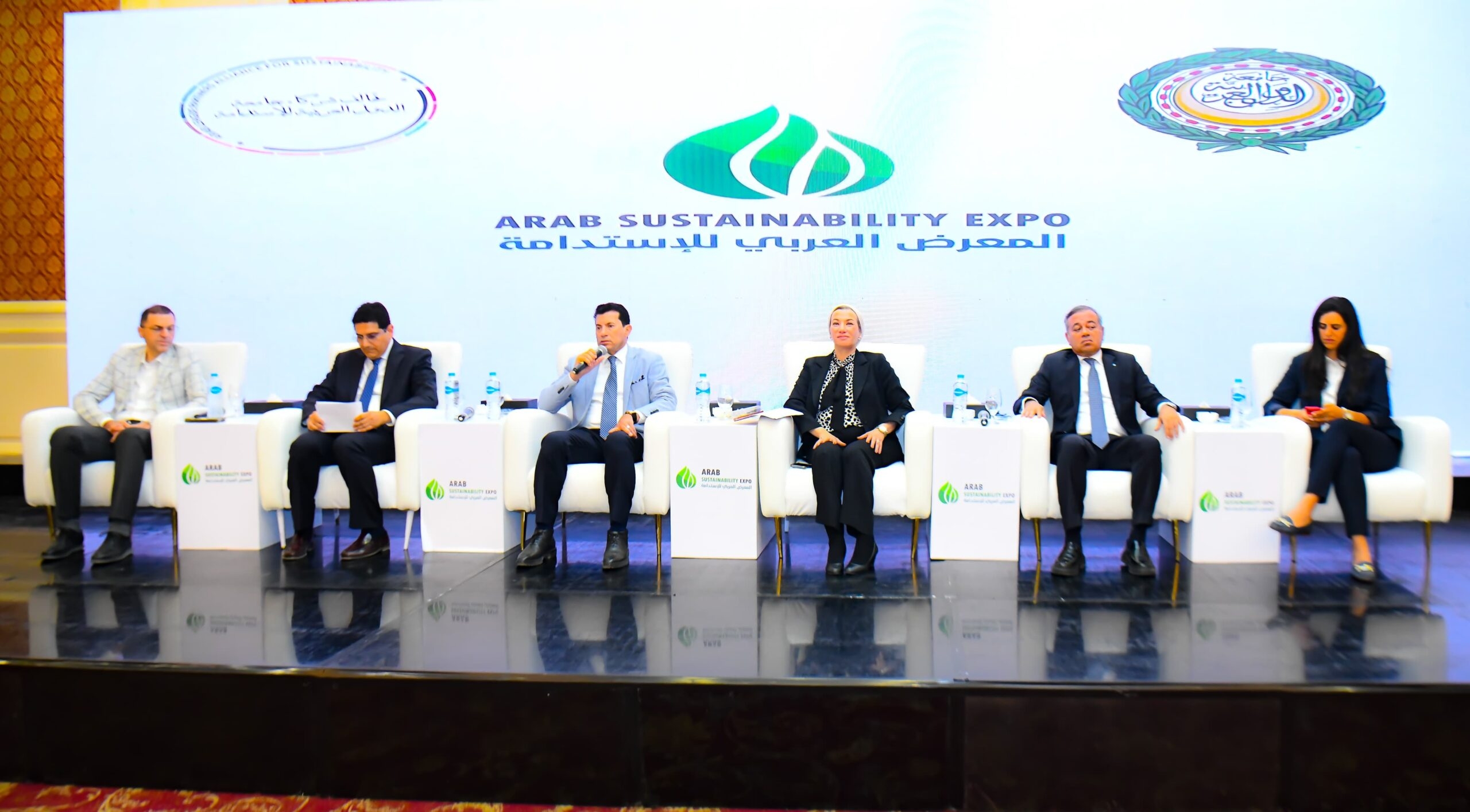 Egypt's Environment Minister urges stronger public-private partnerships for Arab green transition