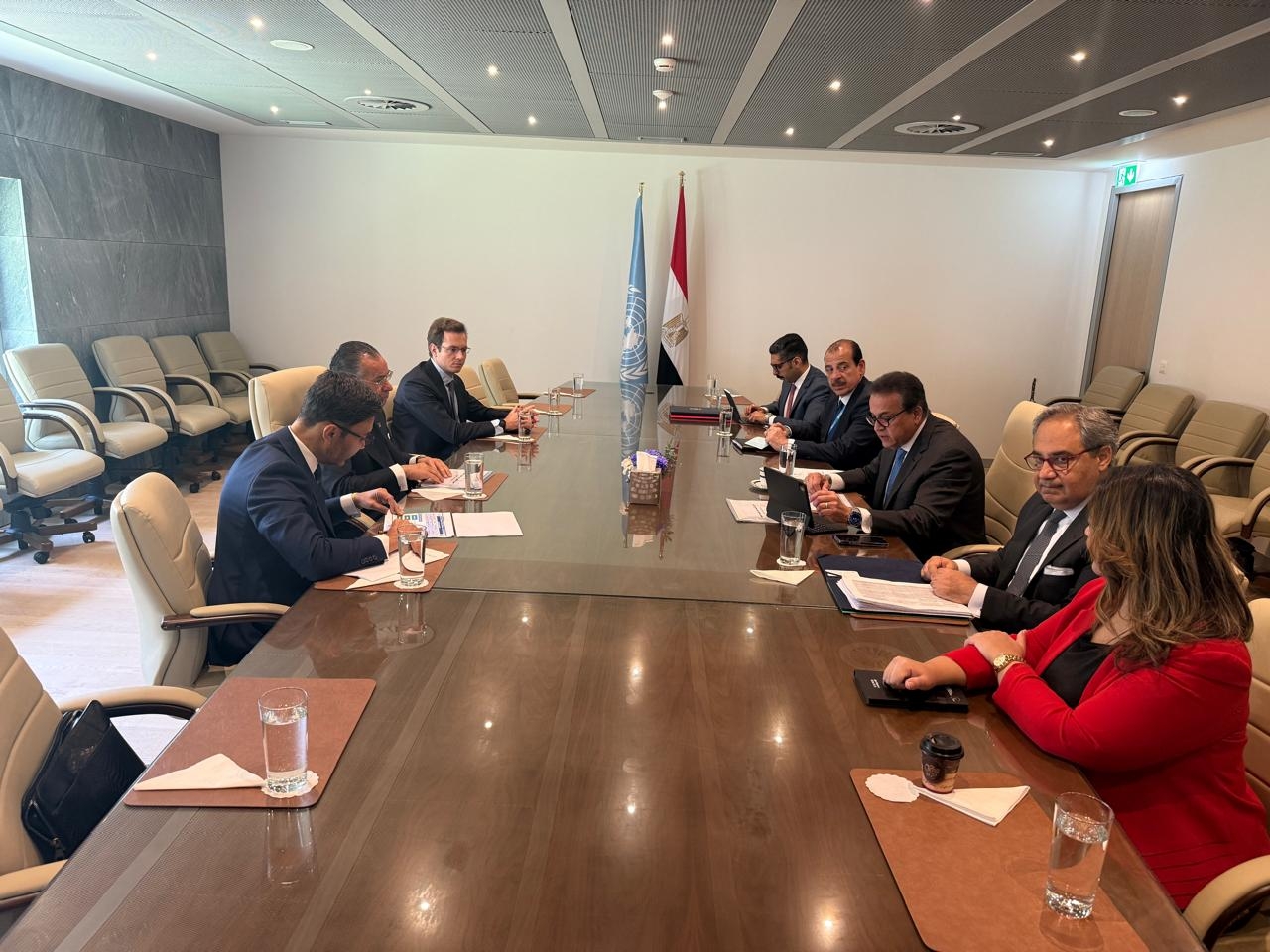 Egypt, Italy's GKSD explore healthcare investment, medical education partnership