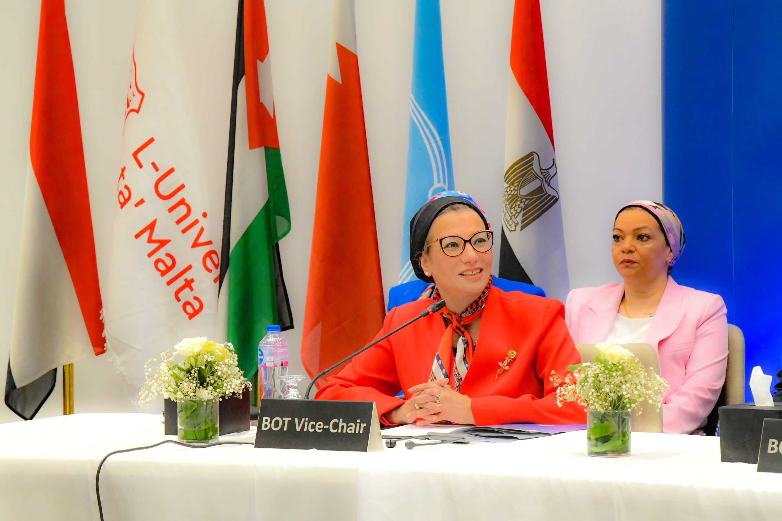 Egypt's Environment Minister chairs regional CEDARE meeting ahead of UN desertification role