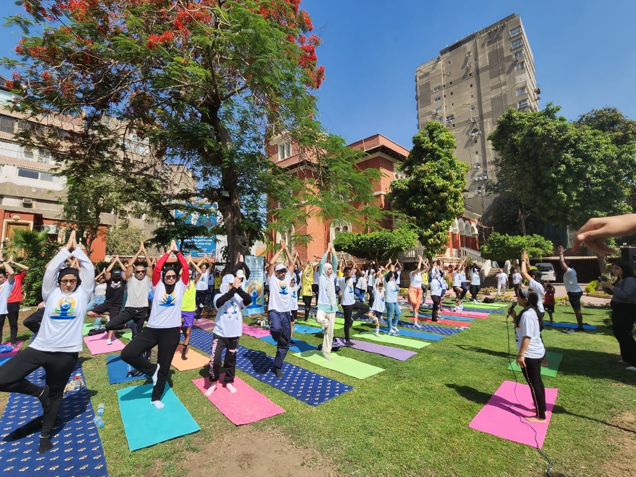Yoga Marathon in Cairo marks start of 11th International Day of Yoga events