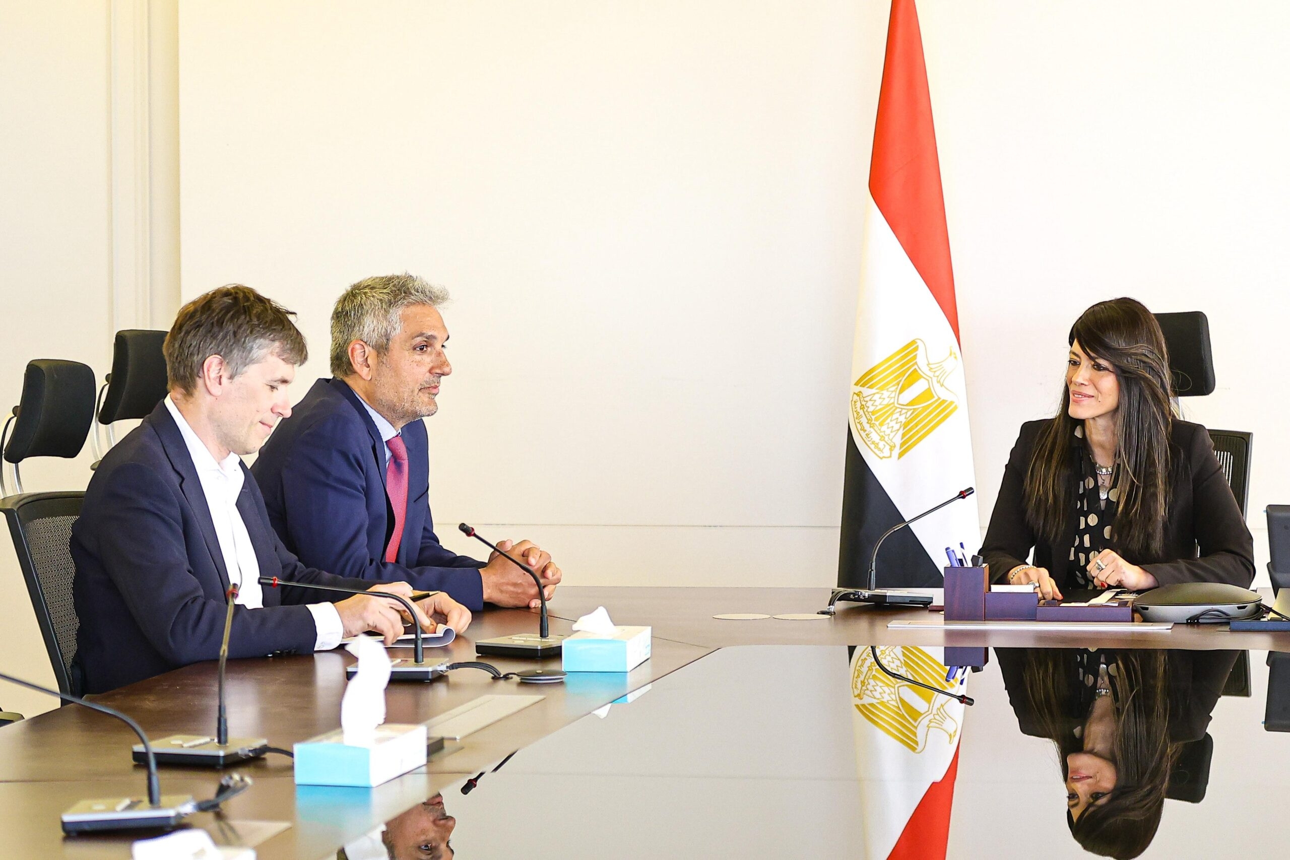 Egypt details economic strategy, private sector empowerment to Goldman Sachs
