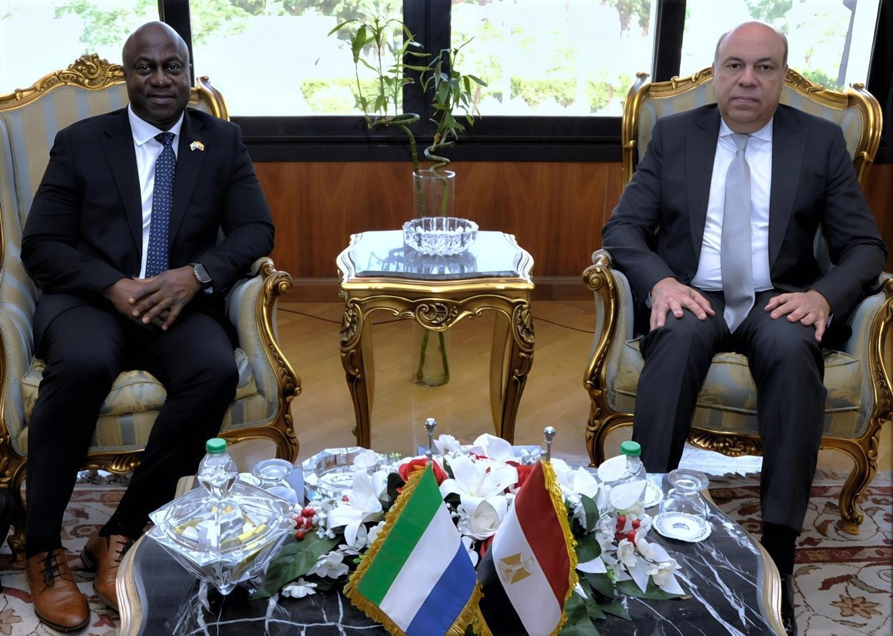 Egypt, Sierra Leone discuss cooperation in civil aviation