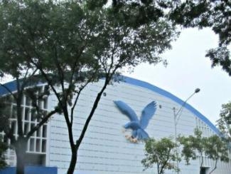 121 PH schools make it to Times Higher Education Impact Rankings 2025