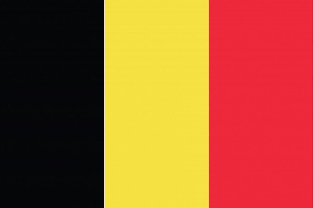 Import ban on bird, poultry from Belgium lifted — DA