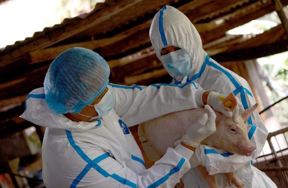 DA, FDA boost collab on ASF, bird flu vaccines oversight