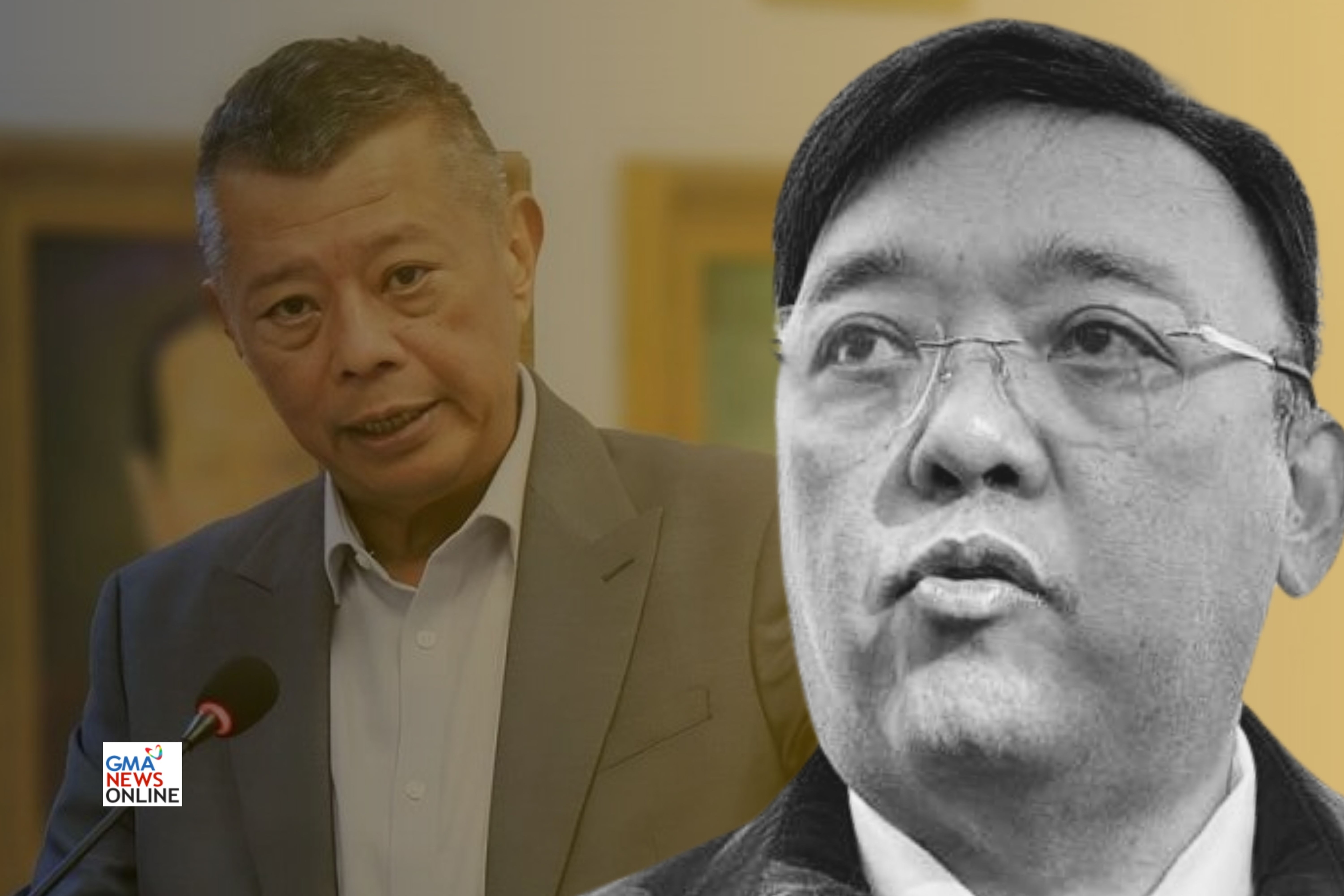 Harry Roque denies having more than 1 PH passport