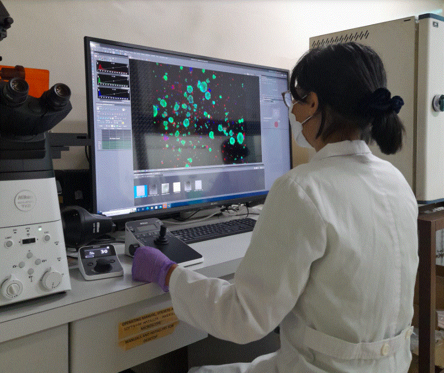 UP biologists use mathematical model to detect early signs of metastasis in breast cancer patients