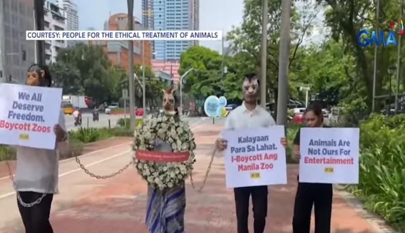 Animal welfare group protests alleged maltreatment in Manila Zoo