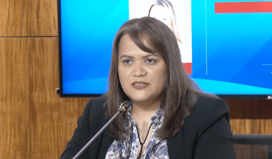 Senate 'killed' wage hike bill, says House spokesperson
