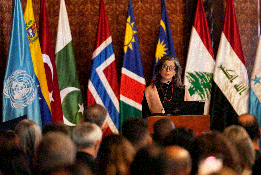 UN rapporteur calls for global action to stop 'genocide' in Gaza