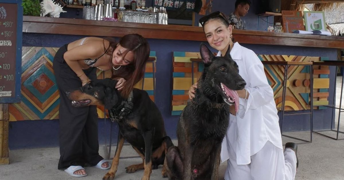 Mika Salamanca makes donation to local animal welfare NGO