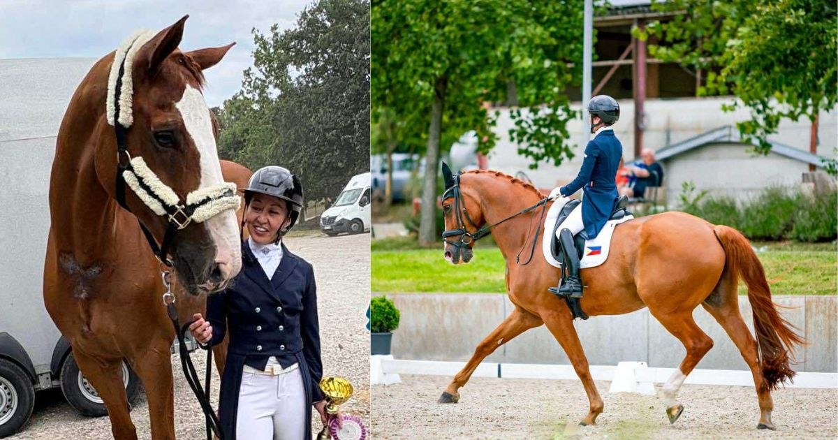 Equestrian Toni Leviste becomes first Filipino to win int'l dressage event in Europe