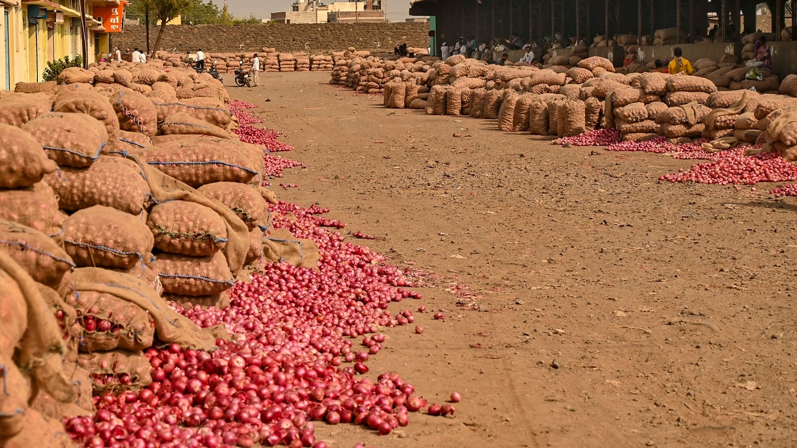 Why are Maharashtra onion farmers asking for Rs 1 lakh per acre compensation?