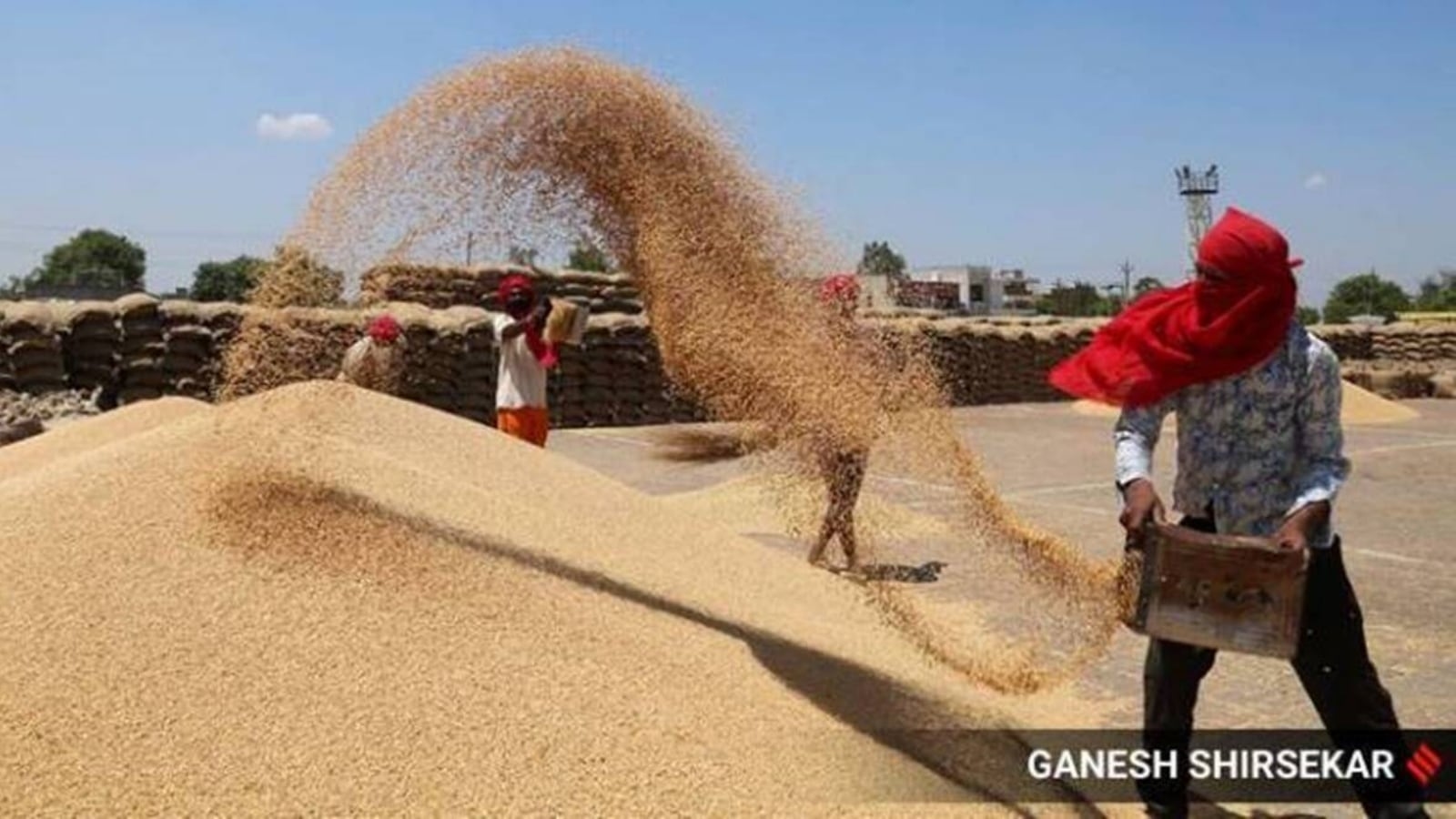 Centre hikes reserve prices for open-market sale of wheat by 10.86% and rice 3%