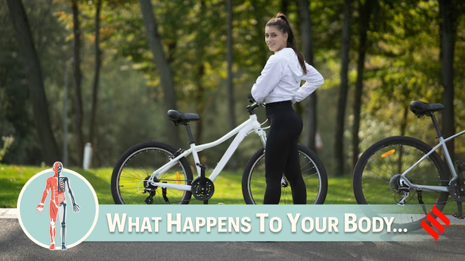 What happens to your body when you cycle while pregnant?