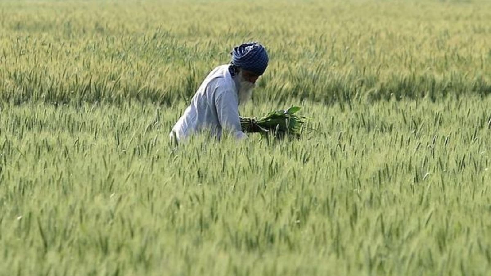 PM Kisan Samman Nidhi Yojana: 6 key steps to receive the 20th instalment