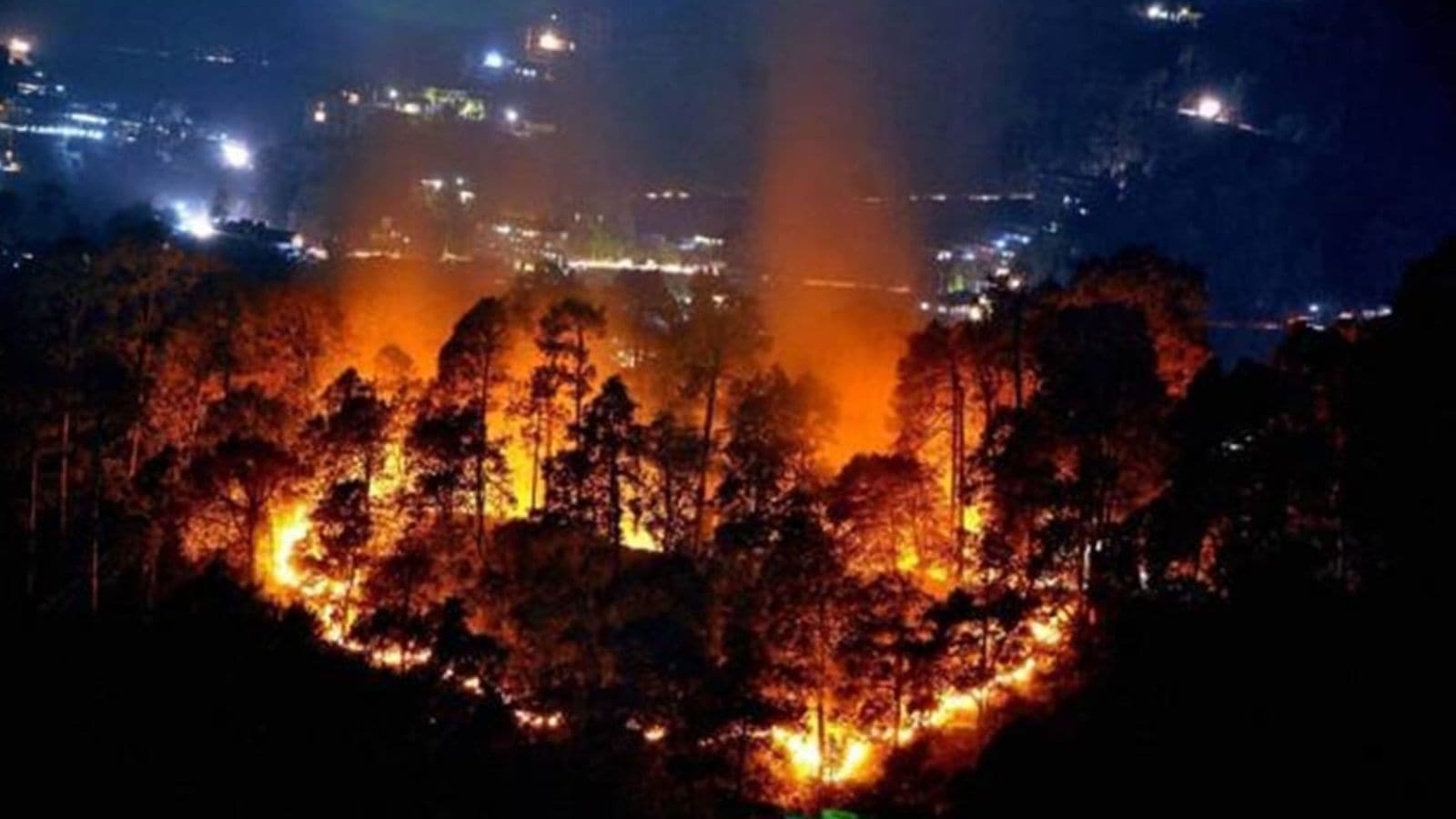 Amazon fires drive unprecedented global forest loss in 2024, report says