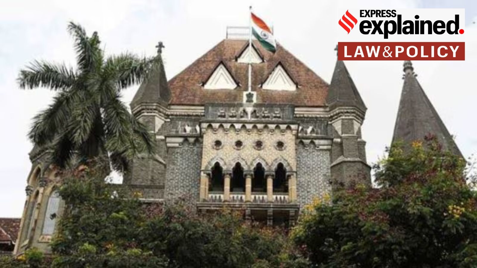 Why Bombay High Court referred surrogacy plea by divorced woman to Supreme Court