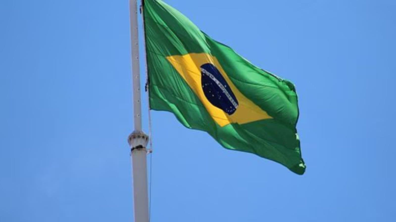 Brazil's ‘lipstick coup' protester jailed for 14 years for defacing statue during riot