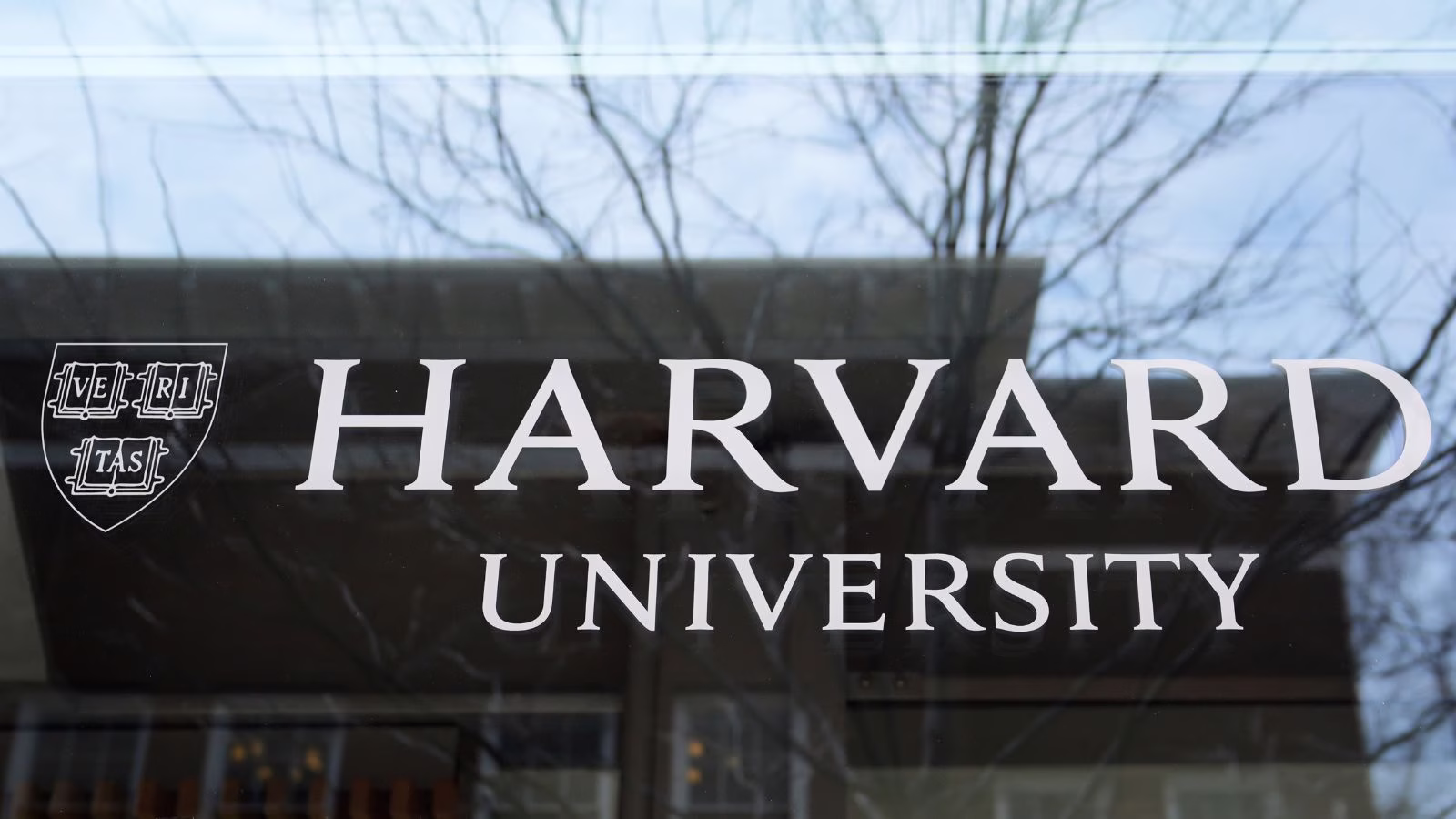 Harvard vs Trump administration: Top 10 US universities with largest endowments