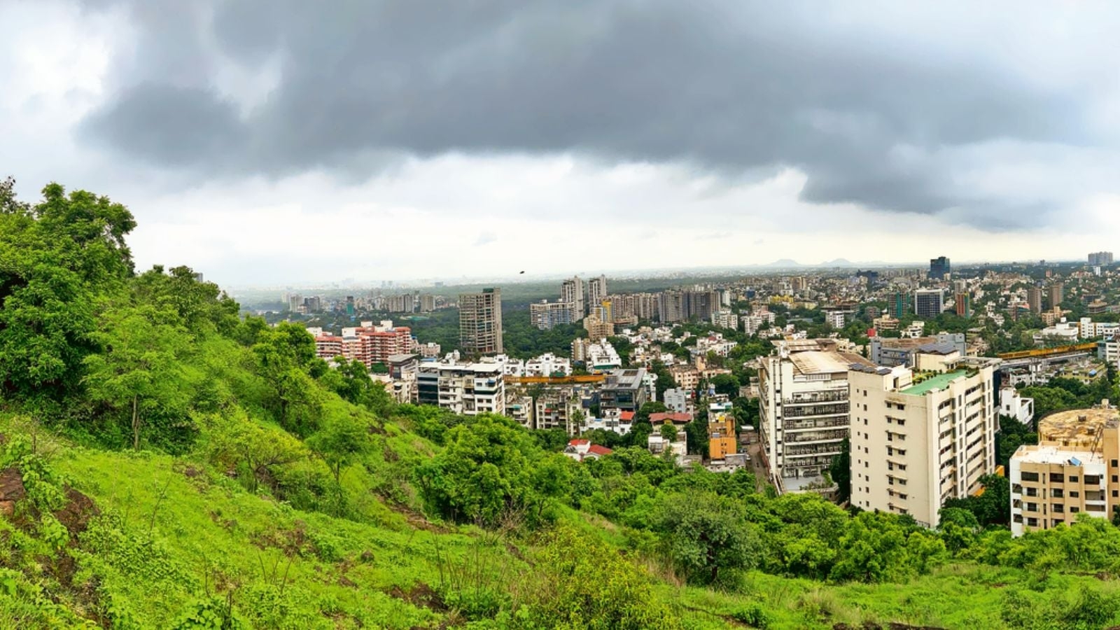 Why 100-200 people in Pune are signing this green petition every hour