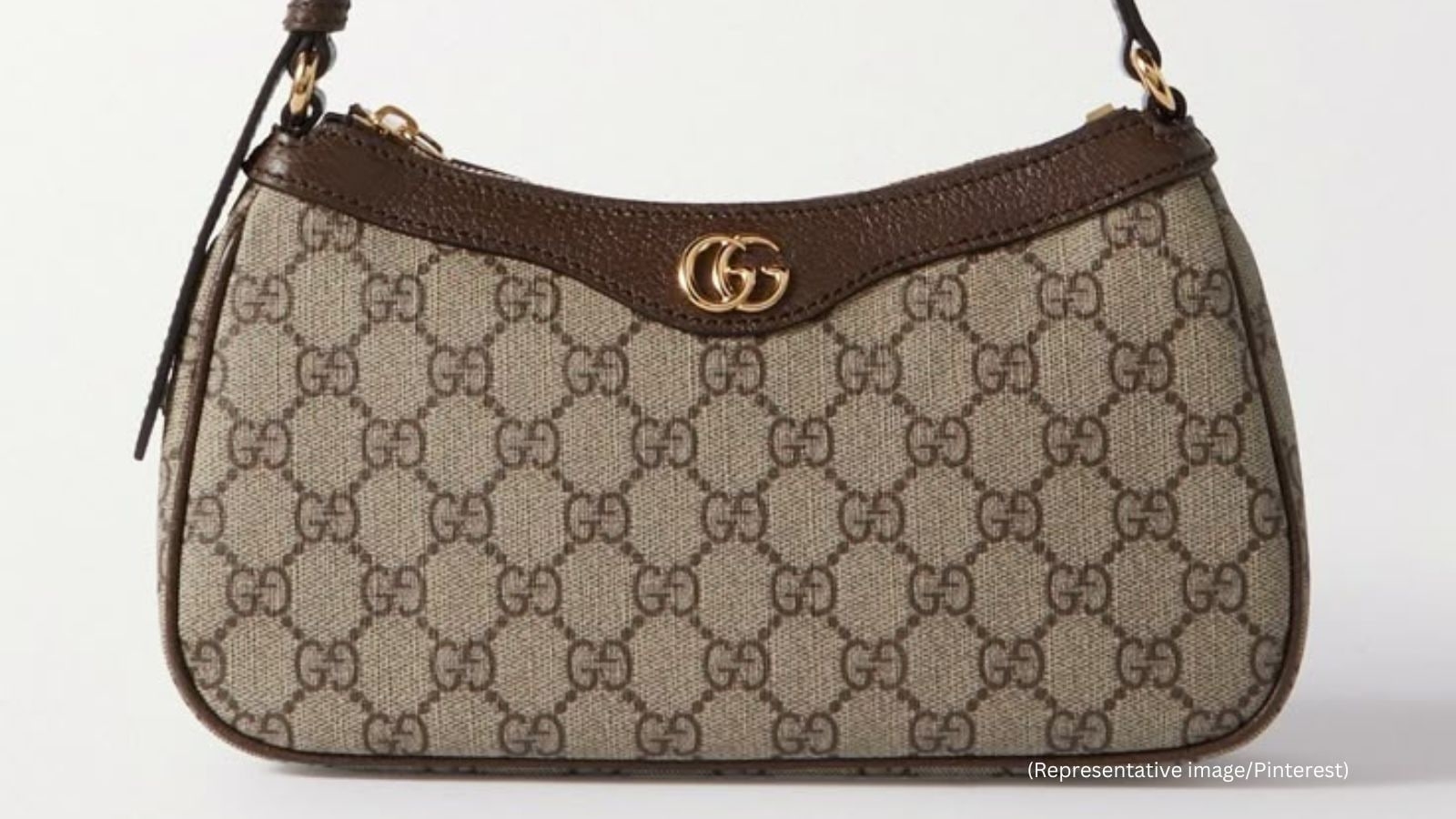 Illegal immigrant Mario Bustamante Leiva arrested for stealing US Homeland Secy Kristi Noem's Gucci purse: who is he?