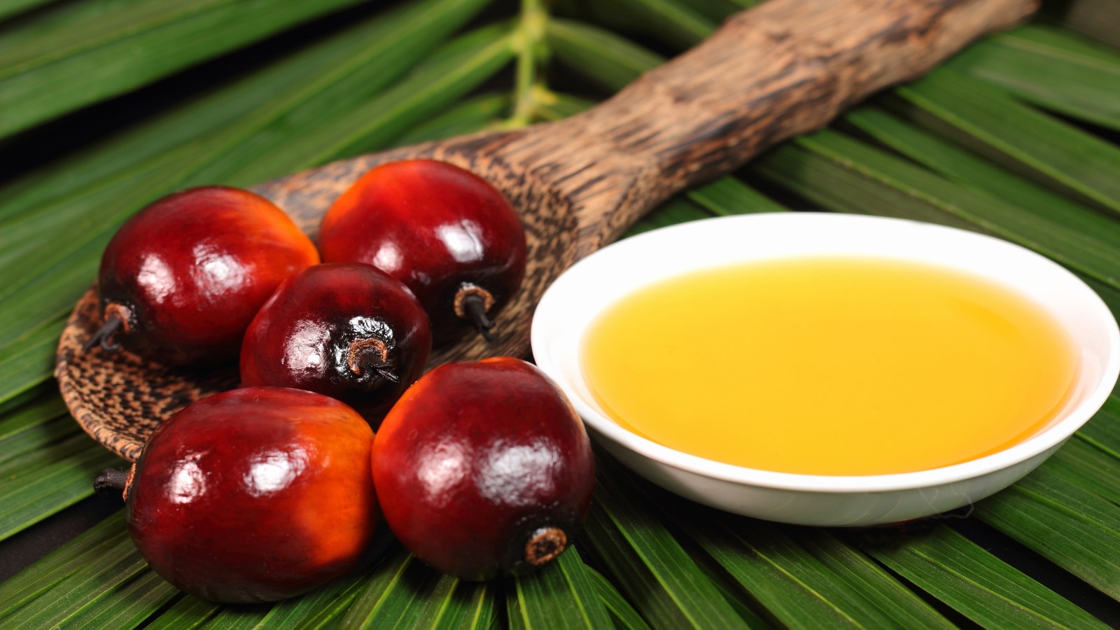 India: A Growth Frontier for Sustainable Palm Oil By Dr. Puah Chiew Wei