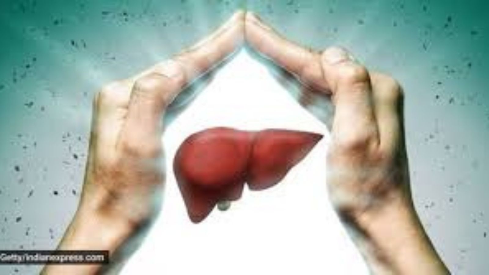 With 53%, Chandigarh has highest prevalence of fatty liver disease'