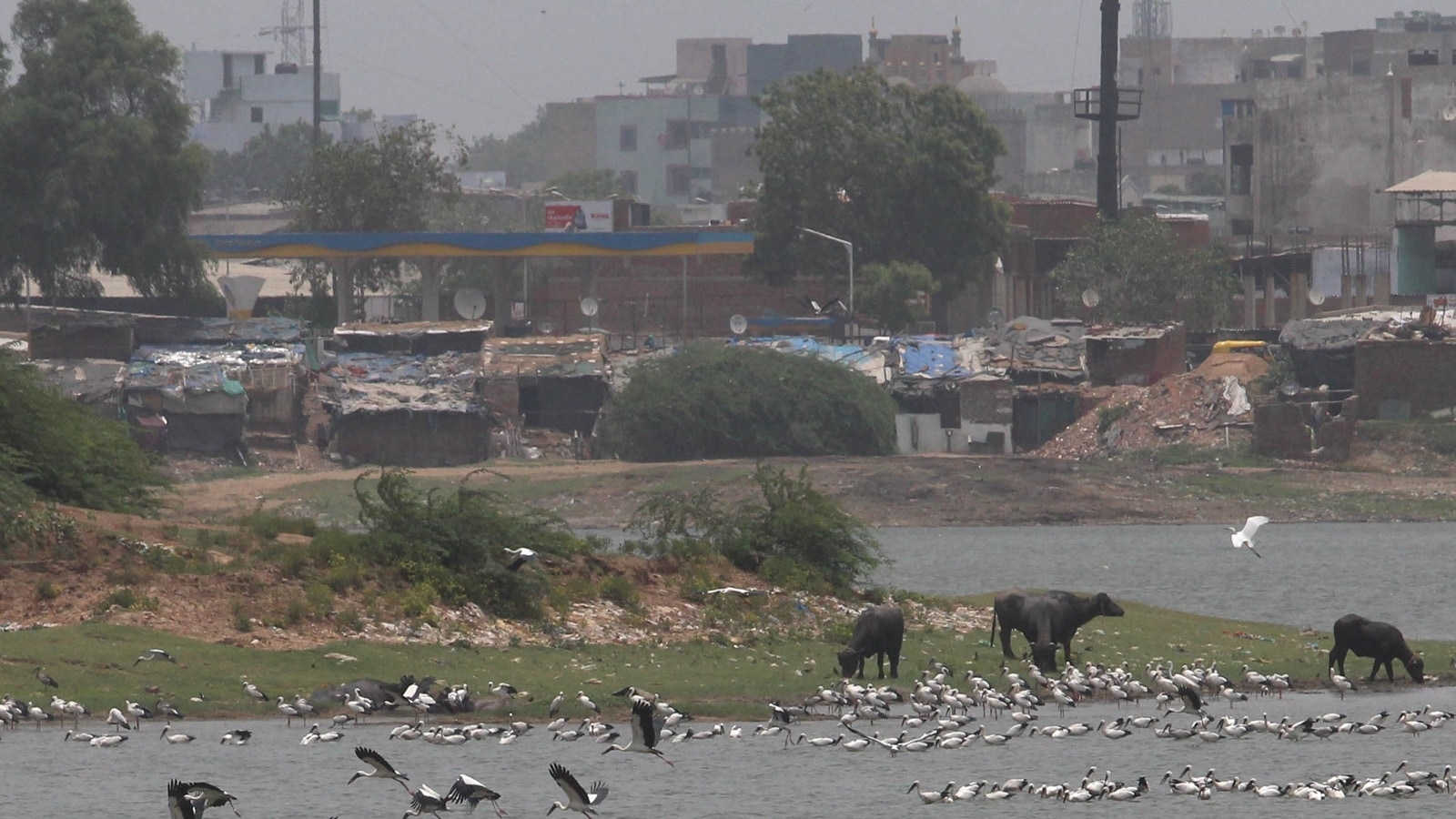 Over 2,000 illegal hutments to be demolished at Chandola lake in Ahmedabad