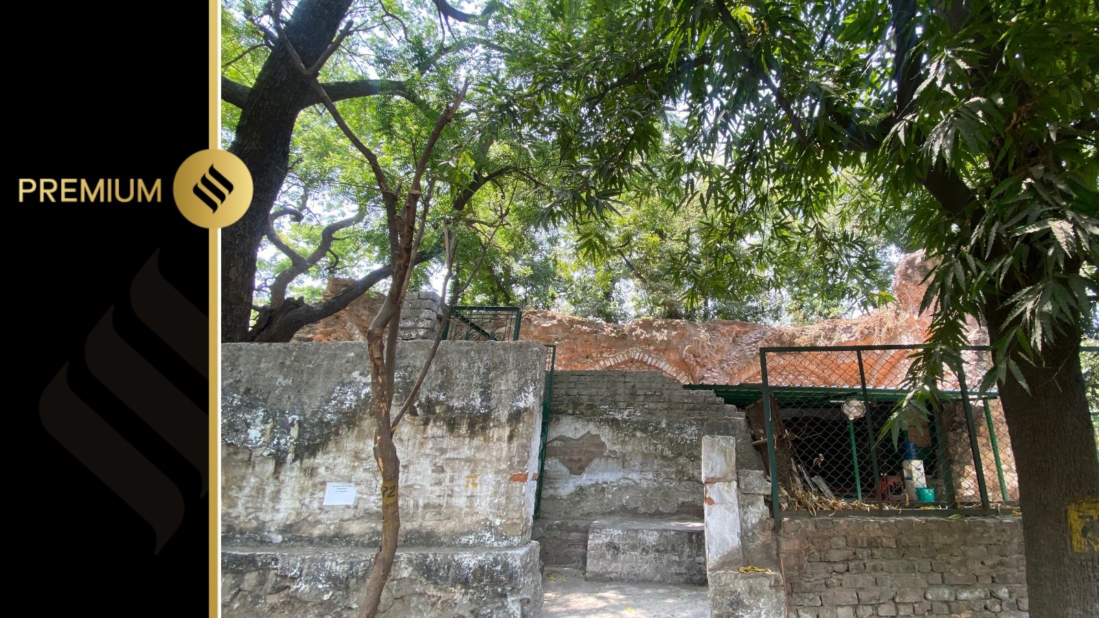 Amid Waqf hearing in SC, a 400-year-old mosque near Delhi HC finds itself in the spotlight