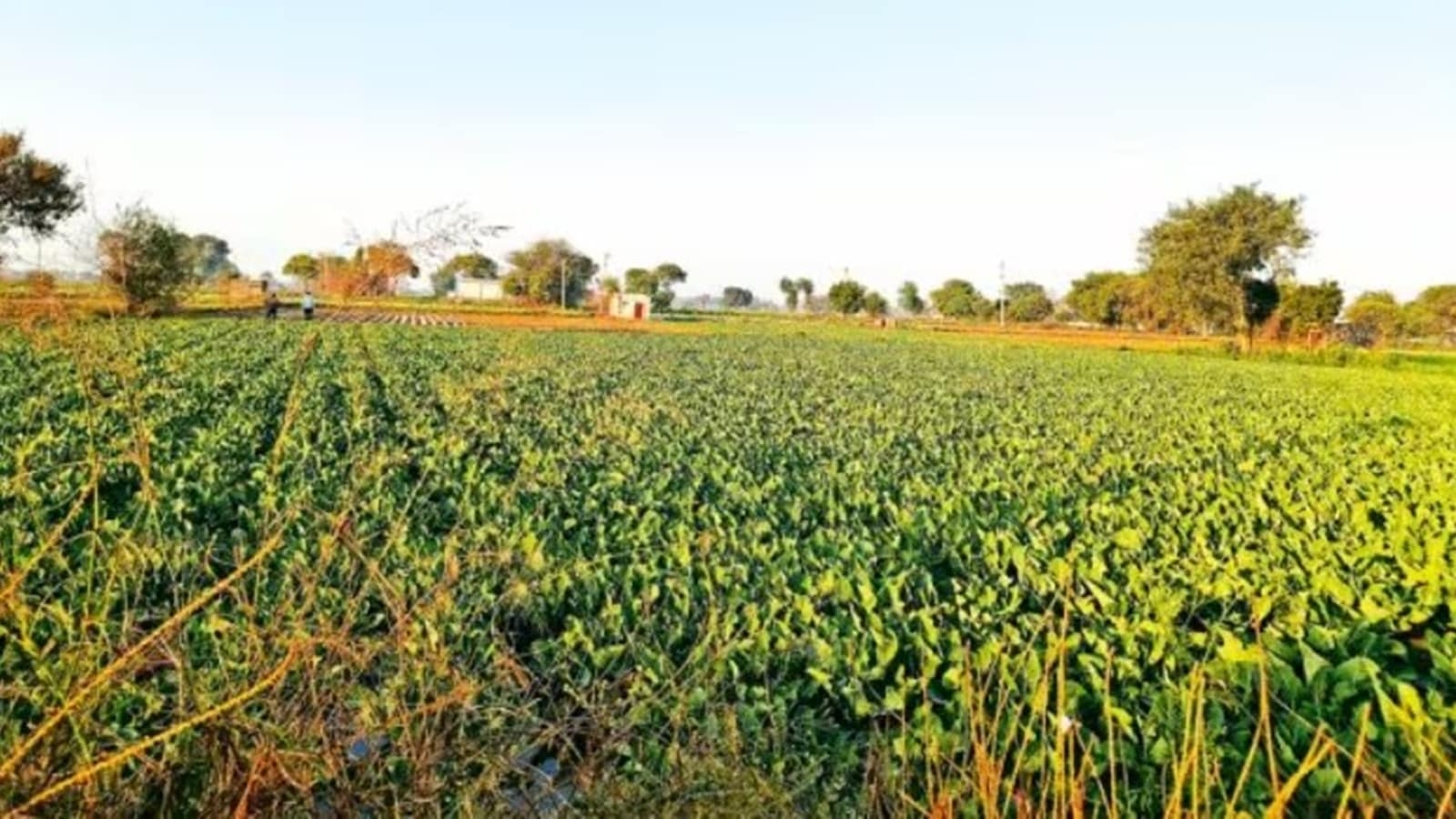 Haryana goes hi-tech, buys 300 rovers for land demarcation